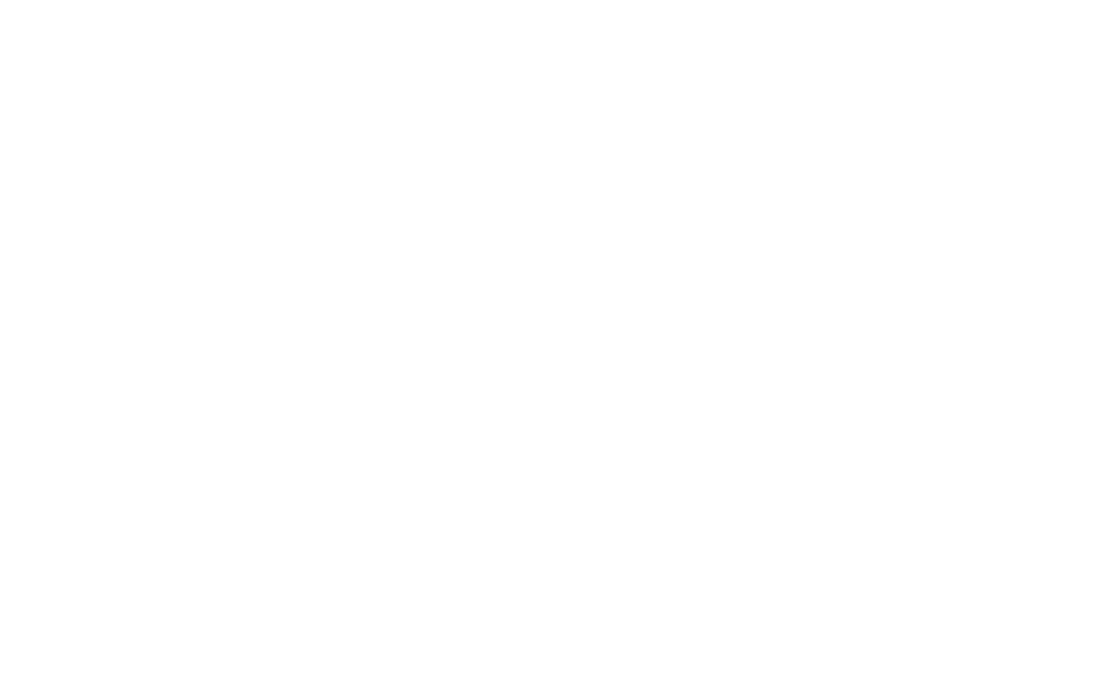 light logo